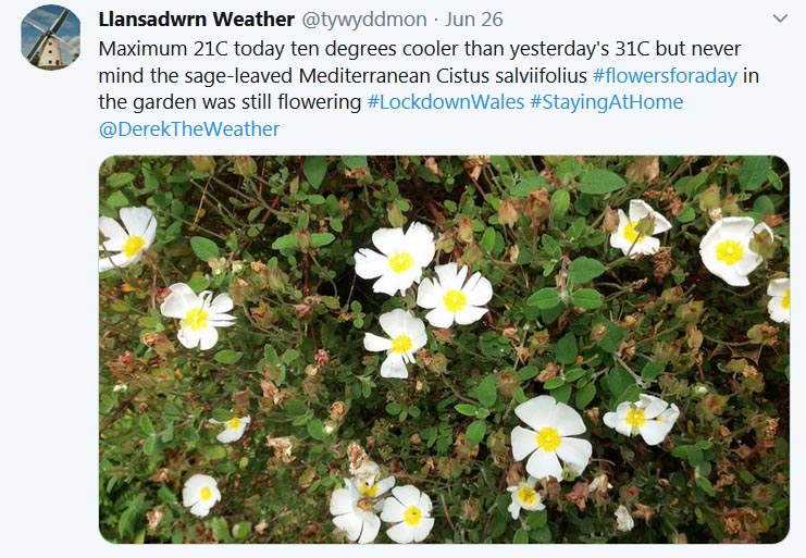 Tweet about 10 degrees less than yesterday ...