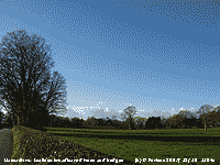 Broadleaved trees and hedges have lost all their leaves.