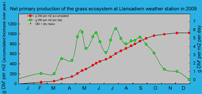 Net primary production of the grass ecosystem at the weather station: © 2009 D.Perkins. Net primary production and growth of the grass ecosystem at Llansadwrn weather station: © 2009 D.Perkins.