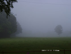 Early morning fog. Early morning fog.