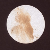 Dried Saharan-type dust collected at Llansadwrn on 17th March 2000.