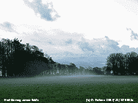 Shallow mist was blowing across the fields.