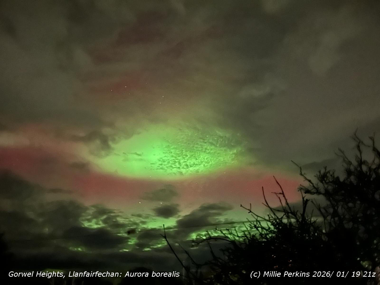 Green and red aurora borealis photographed at Gorwel Heights by Millie Perkins on 19 January 2026.