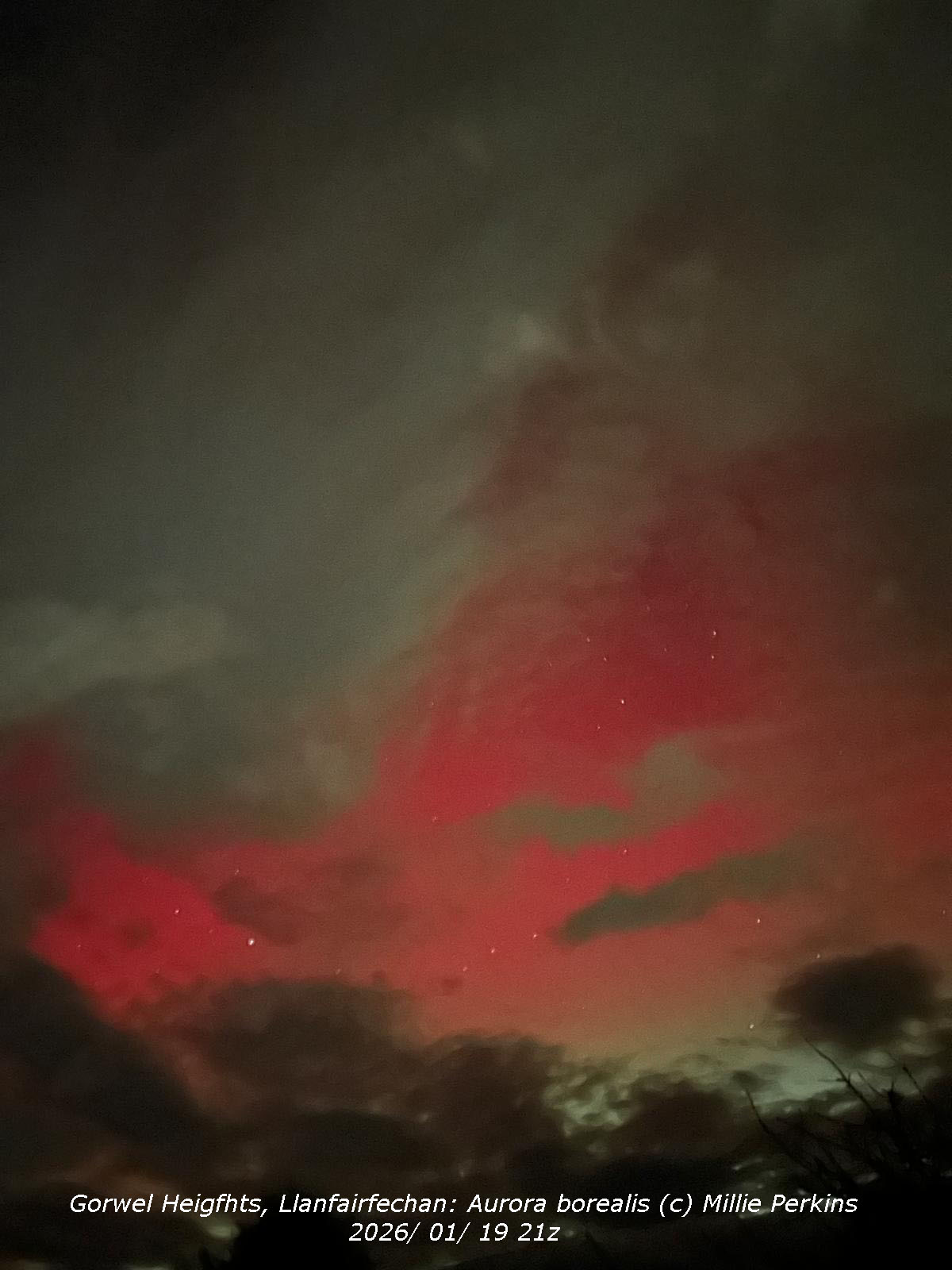 Red aurora borealis photographed at Gorwel Heights by Millie Perkins on 19 January 2026.